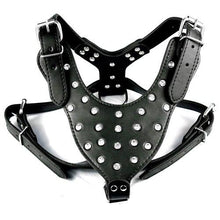 Load image into Gallery viewer, 5 Colors New Shining Leather