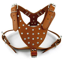 Load image into Gallery viewer, 5 Colors New Shining Leather