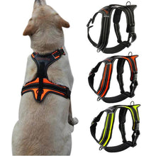 Load image into Gallery viewer, Nylon Dog Harness