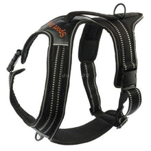 Load image into Gallery viewer, Nylon Dog Harness