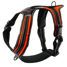 Load image into Gallery viewer, Nylon Dog Harness