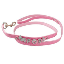 Load image into Gallery viewer, Personalized Dog Leash