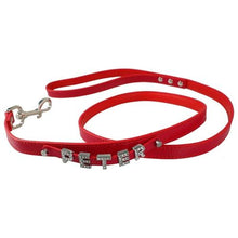 Load image into Gallery viewer, Personalized Dog Leash