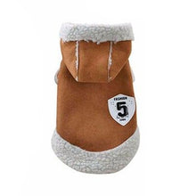 Load image into Gallery viewer, Fashion Buckskin Cat Coat
