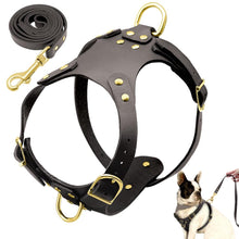 Load image into Gallery viewer, Dog Harness Leash