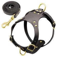 Load image into Gallery viewer, Dog Harness Leash