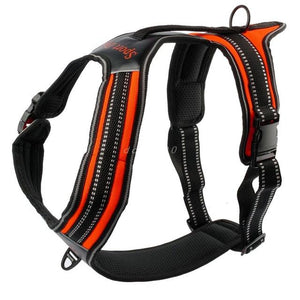 Nylon Dog Harness