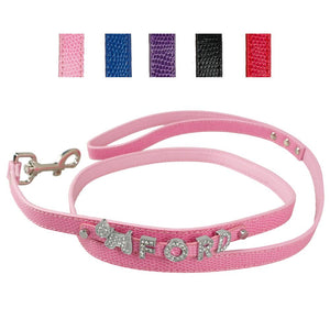 Personalized Dog Leash