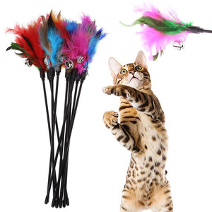 5Pcs Cat Toys Soft Colorful