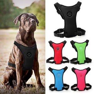 Dog Harness