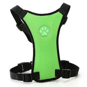 Dog Harness