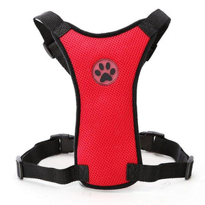 Dog Harness