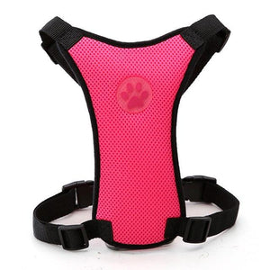 Dog Harness