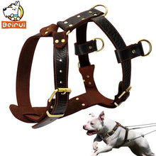 Load image into Gallery viewer, Genuine Leather Dog Harness
