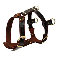 Load image into Gallery viewer, Genuine Leather Dog Harness
