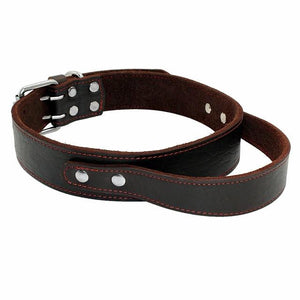 Dog Collar