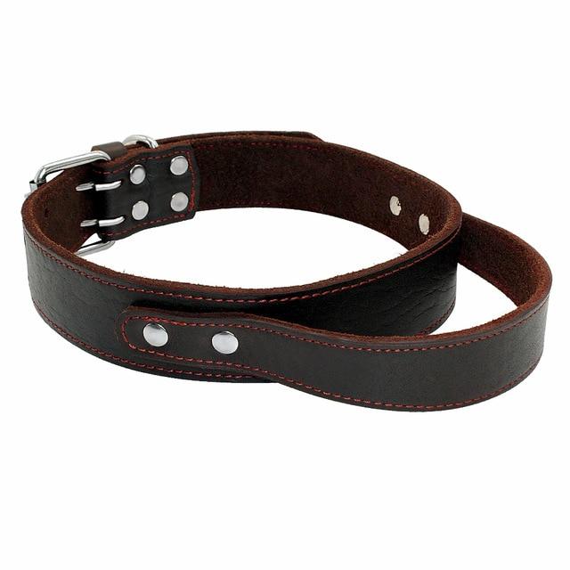 Dog Collar