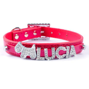 Personalized Pet Collar