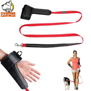 Hands Nylon Dog Leash