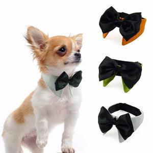 Bow Tie  Dogs Bandana