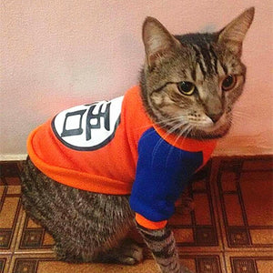 Funny Pet Costume H