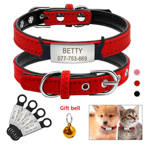 Personalized Padded ID Collars