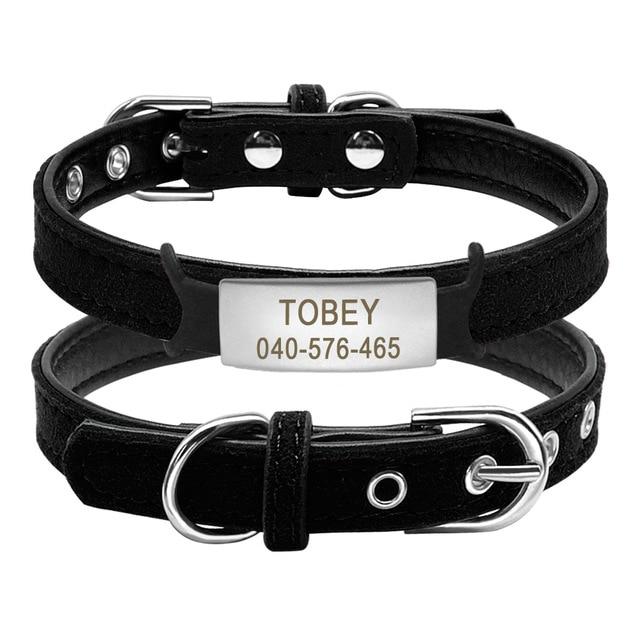 Personalized Padded ID Collars