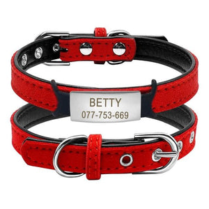 Personalized Padded ID Collars