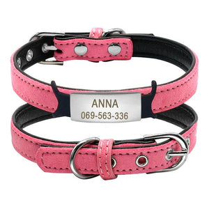 Personalized Padded ID Collars