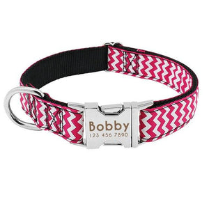 Personalized Dog Collar Nylon