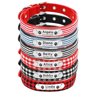 Personalized  Dog Collar