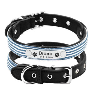 Personalized  Dog Collar