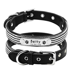 Personalized  Dog Collar