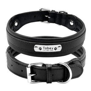 Dog Collar Customized