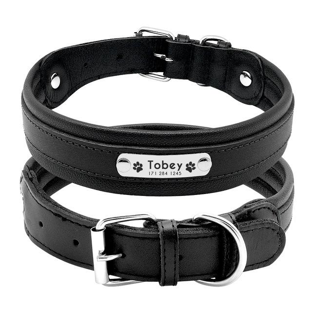 Dog Collar Customized