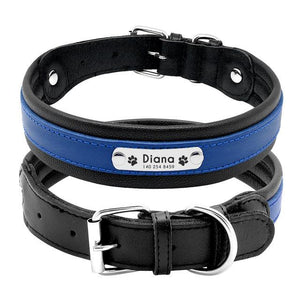 Dog Collar Customized