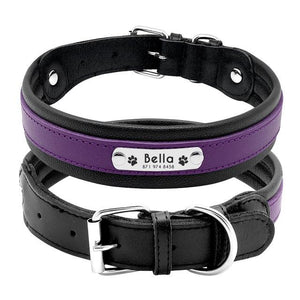 Dog Collar Customized