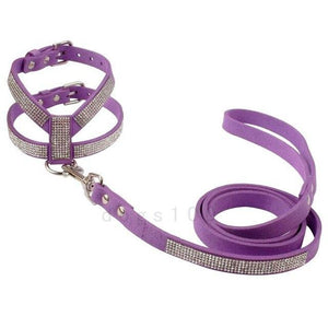 Suede  Dog Harness and Leash