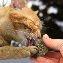 Load image into Gallery viewer, Cat Natural Catnip Toys Menthol
