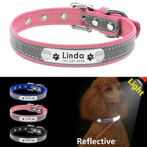 Personalized Collars