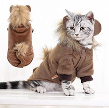 Load image into Gallery viewer, Autumn Winter Cat Costume
