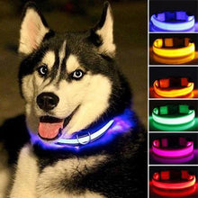 Load image into Gallery viewer, Nylon LED Pet  Collar
