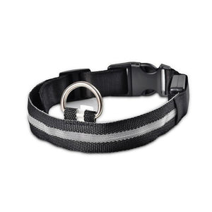 Nylon LED Pet  Collar