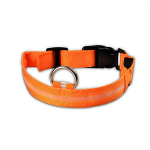 Nylon LED Pet  Collar