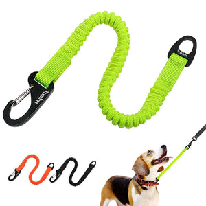 Dog Leash Elastic Bungee