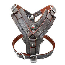 Load image into Gallery viewer, Genuine Leather Dog Harness
