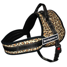 Load image into Gallery viewer, Nylon Sport K9 Dog Harness
