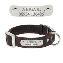 Load image into Gallery viewer, Personalized Dog Collar
