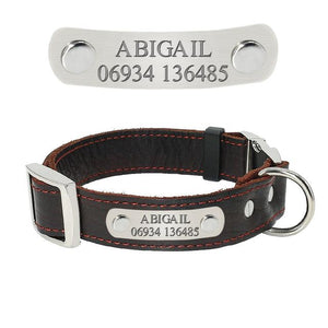 Personalized Dog Collar