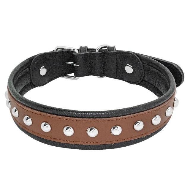 Dog Collar